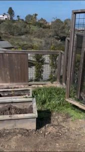 Sunny Hill before